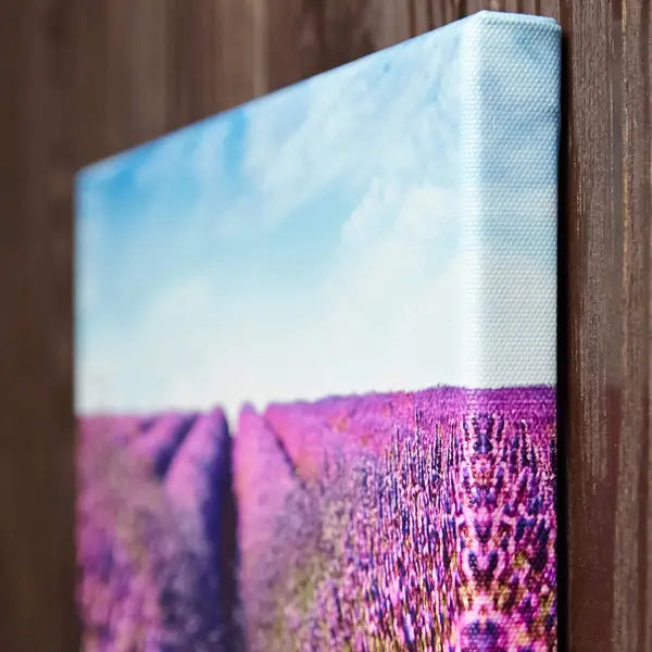 Canvas 3