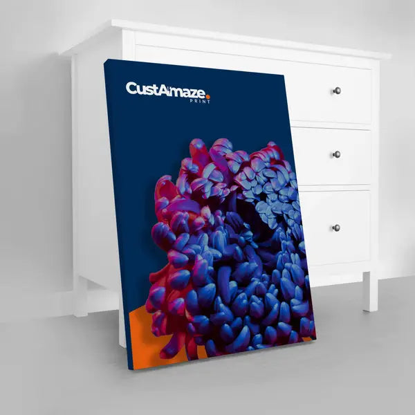 Canvas 1